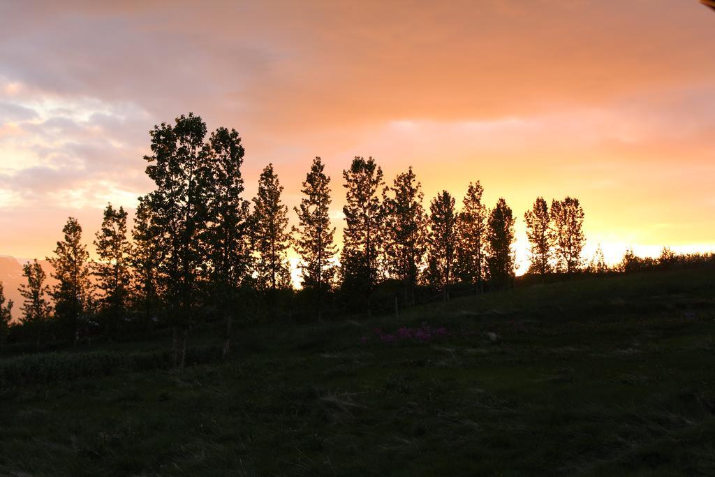 Akureyri Log Cottage Dış mekan fotoğraf